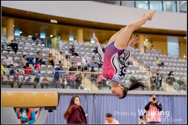 2017-01-15 Artistic Gymnastics 0061