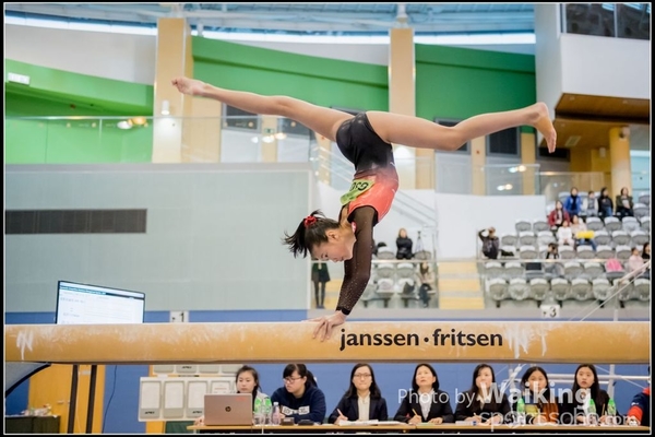 2017-01-15 Artistic Gymnastics 0064