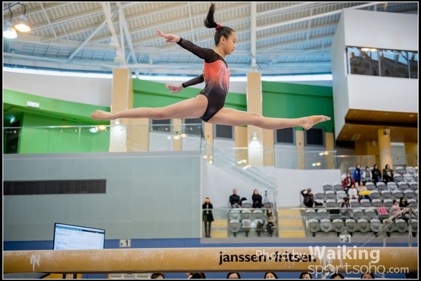 2017-01-15 Artistic Gymnastics 0065