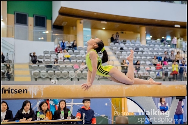 2017-01-15 Artistic Gymnastics 0066