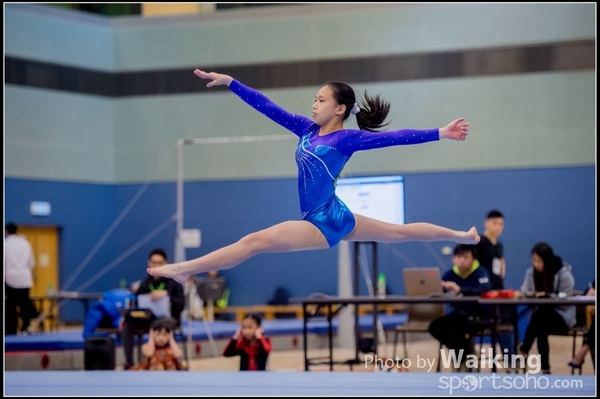 2017-01-15 Artistic Gymnastics 0076