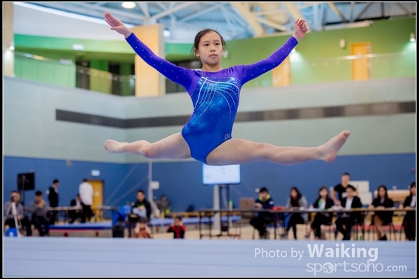 2017-01-15 Artistic Gymnastics 0077