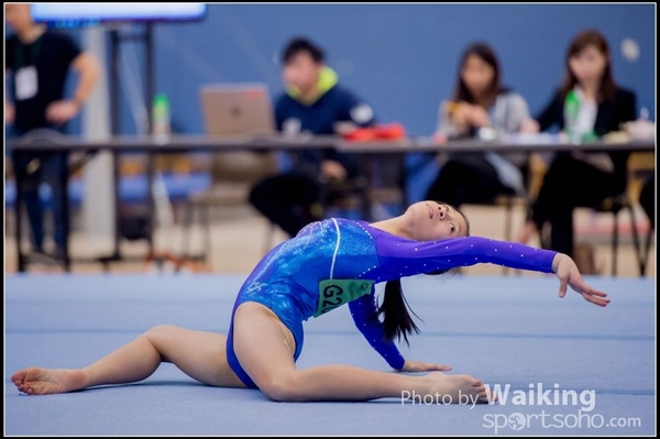 2017-01-15 Artistic Gymnastics 0078