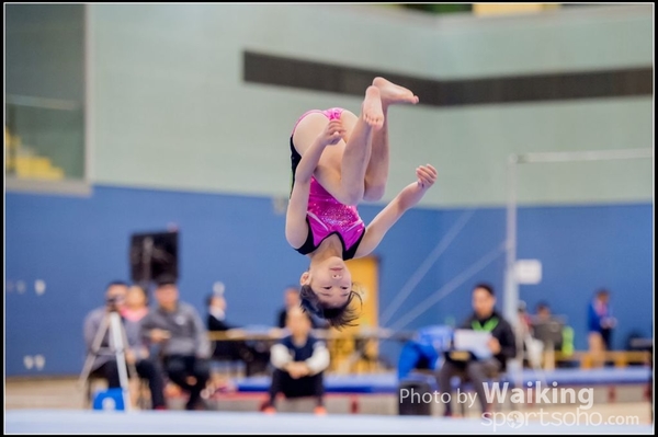 2017-01-15 Artistic Gymnastics 0081