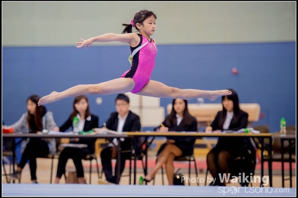 2017-01-15 Artistic Gymnastics 0083