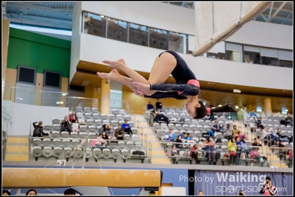 2017-01-15 Artistic Gymnastics 0089