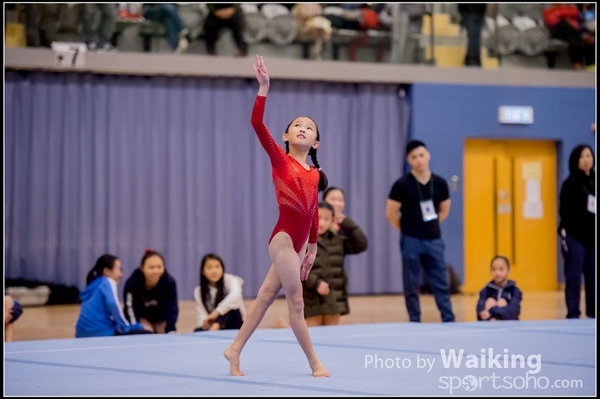 2017-01-15 Artistic Gymnastics 0090