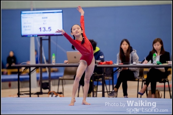 2017-01-15 Artistic Gymnastics 0091
