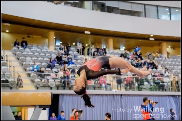 2017-01-15 Artistic Gymnastics 0131