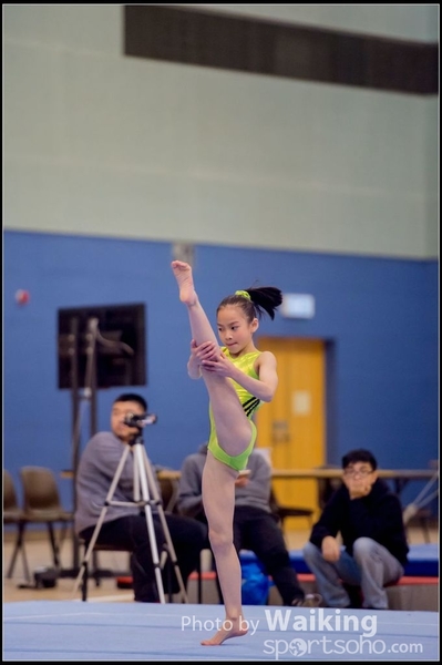 2017-01-15 Artistic Gymnastics 0132