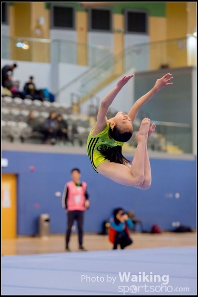 2017-01-15 Artistic Gymnastics 0133
