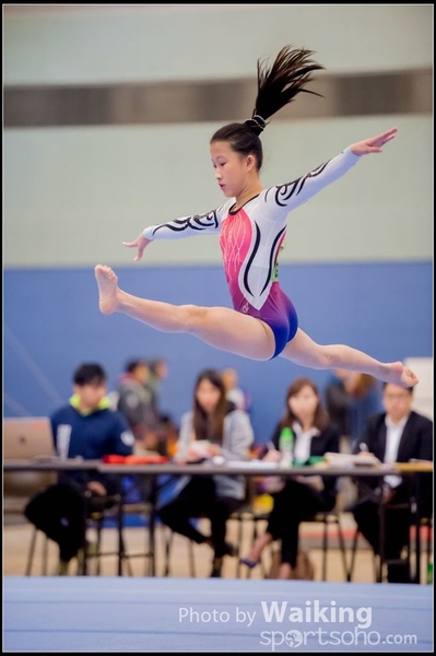 2017-01-15 Artistic Gymnastics 0136