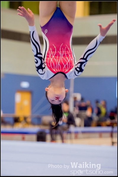 2017-01-15 Artistic Gymnastics 0137