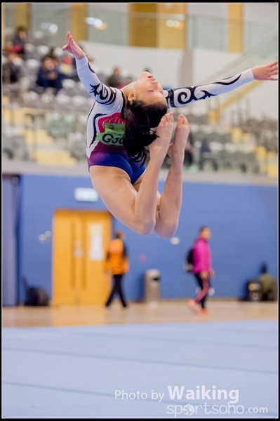 2017-01-15 Artistic Gymnastics 0138