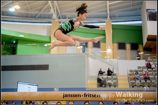 2017-01-15 Artistic Gymnastics 0141