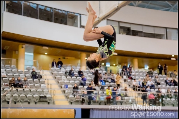 2017-01-15 Artistic Gymnastics 0142