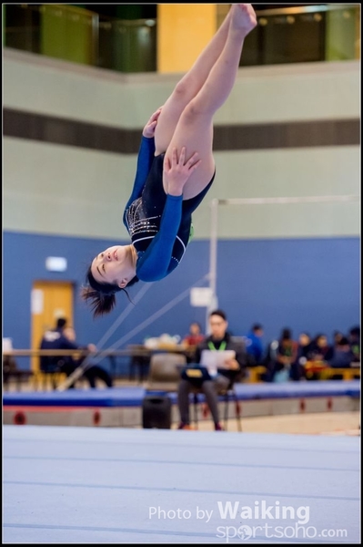 2017-01-15 Artistic Gymnastics 0144