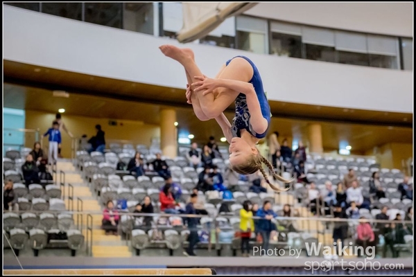 2017-01-15 Artistic Gymnastics 0151