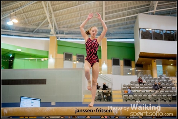 2017-01-15 Artistic Gymnastics 0156