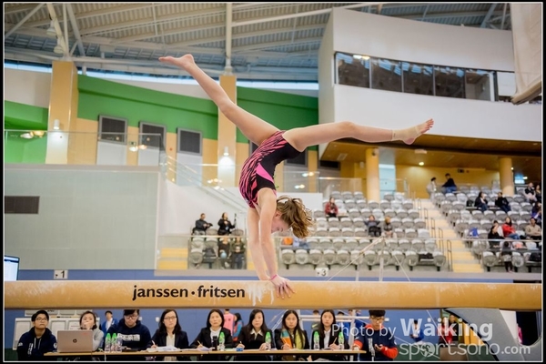 2017-01-15 Artistic Gymnastics 0157