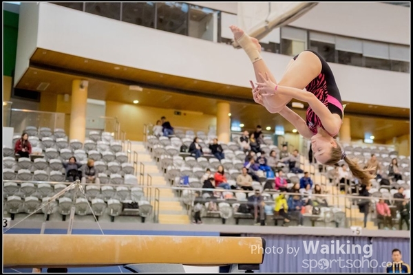 2017-01-15 Artistic Gymnastics 0158