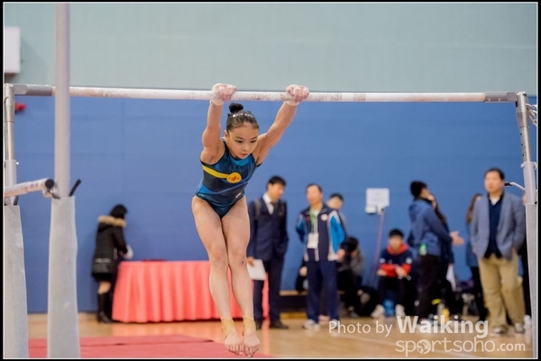 2017-01-15 Artistic Gymnastics 0162