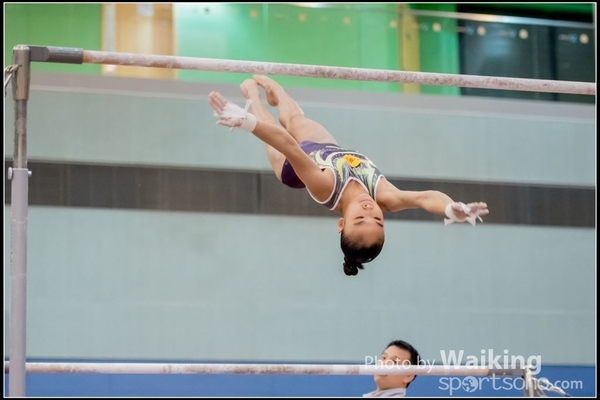 2017-01-15 Artistic Gymnastics 0164