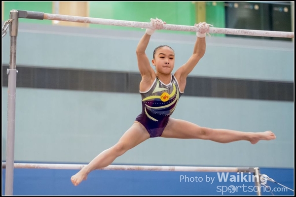 2017-01-15 Artistic Gymnastics 0166
