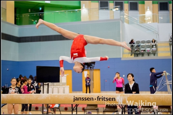 2017-01-15 Artistic Gymnastics 0168