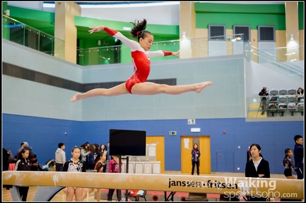 2017-01-15 Artistic Gymnastics 0169