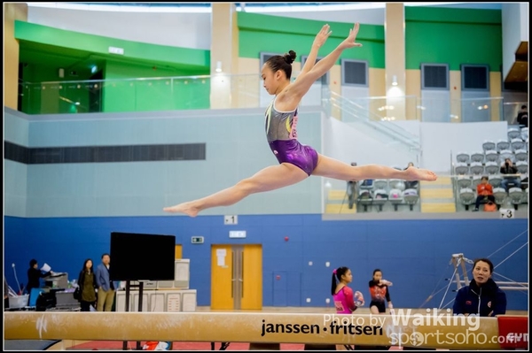 2017-01-15 Artistic Gymnastics 0176