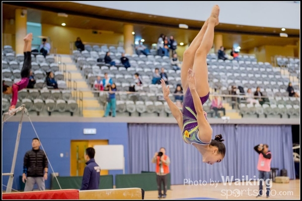 2017-01-15 Artistic Gymnastics 0177