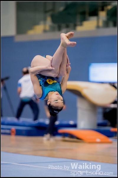 2017-01-15 Artistic Gymnastics 0178