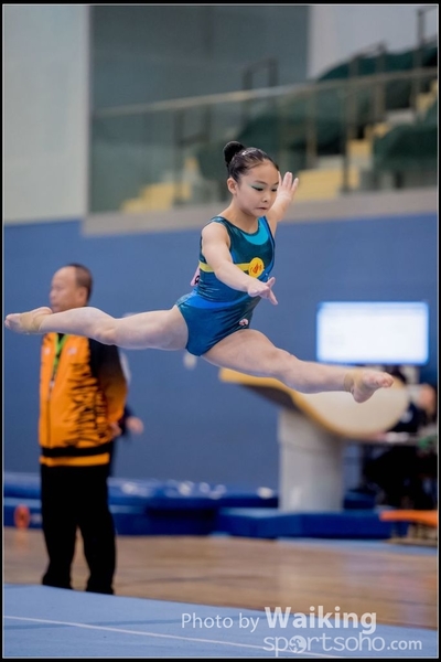 2017-01-15 Artistic Gymnastics 0179