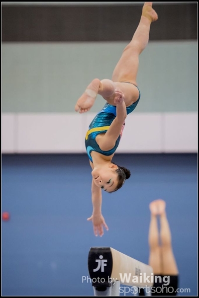 2017-01-15 Artistic Gymnastics 0180