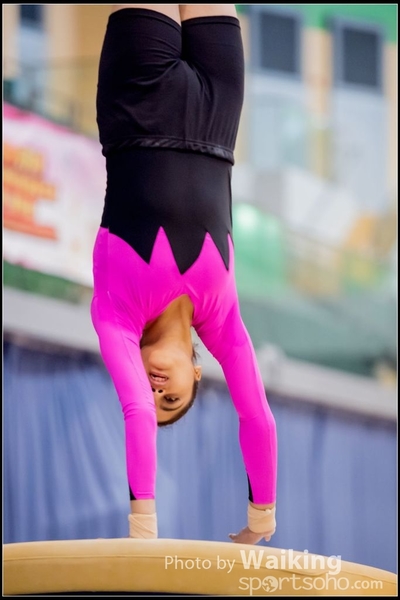 2017-01-15 Artistic Gymnastics 0184