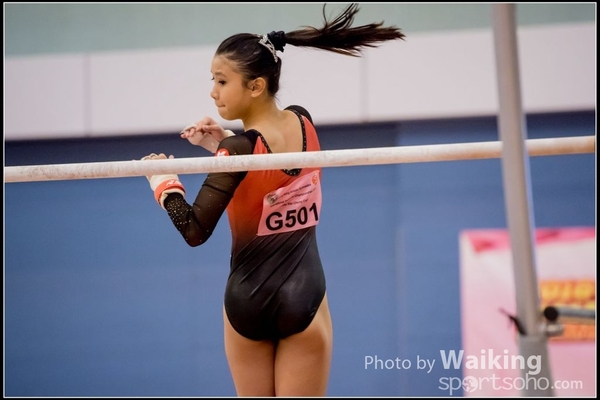 2017-01-15 Artistic Gymnastics 0239