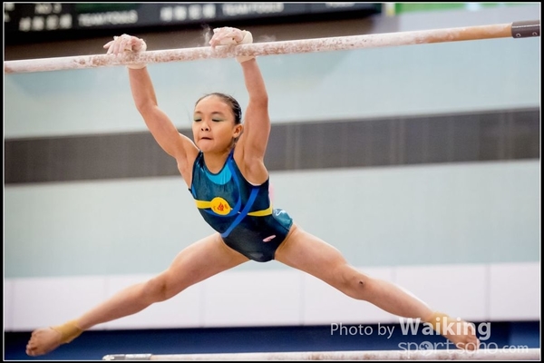 2017-01-15 Artistic Gymnastics 0249