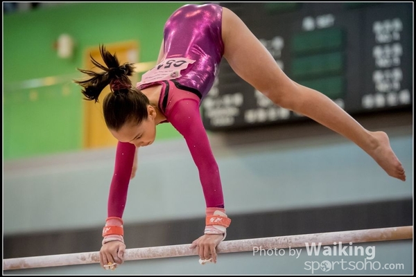 2017-01-15 Artistic Gymnastics 0253