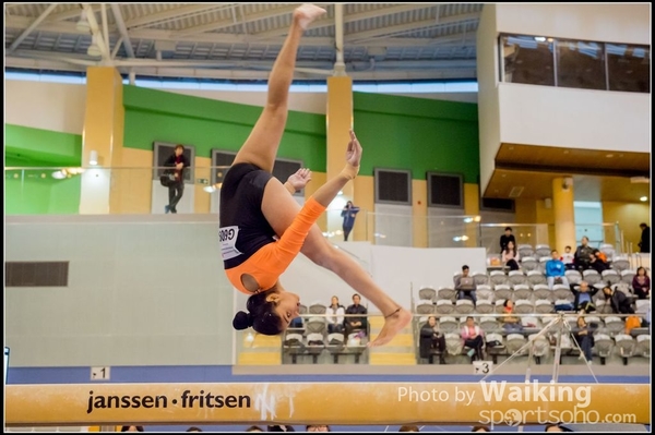 2017-01-15 Artistic Gymnastics 0261