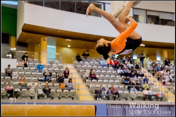 2017-01-15 Artistic Gymnastics 0262