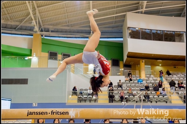 2017-01-15 Artistic Gymnastics 0264