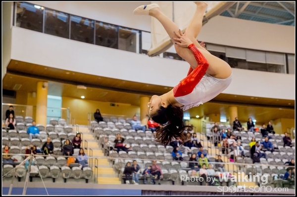 2017-01-15 Artistic Gymnastics 0265