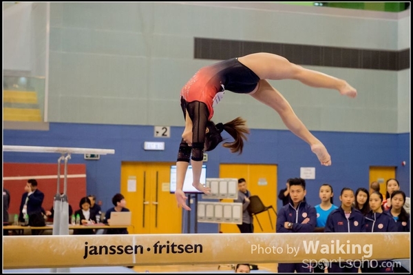 2017-01-15 Artistic Gymnastics 0266
