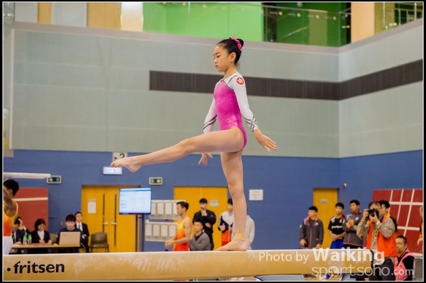 2017-01-15 Artistic Gymnastics 0271