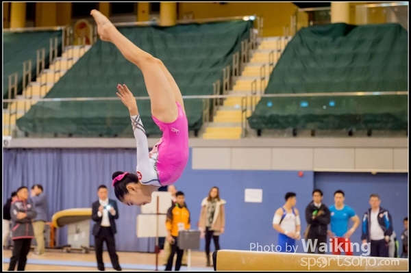 2017-01-15 Artistic Gymnastics 0273