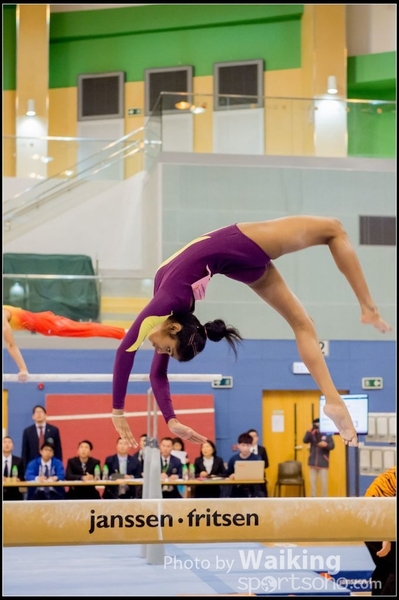 2017-01-15 Artistic Gymnastics 0274