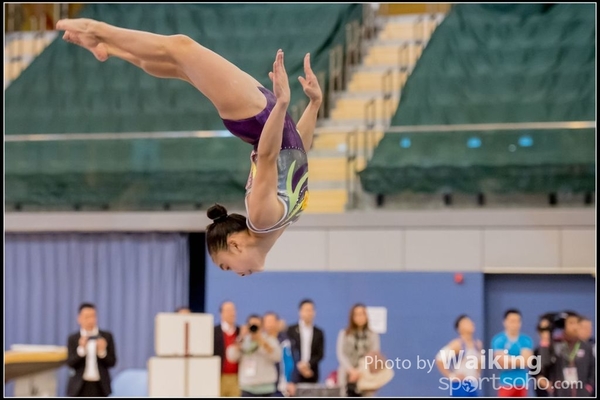 2017-01-15 Artistic Gymnastics 0299