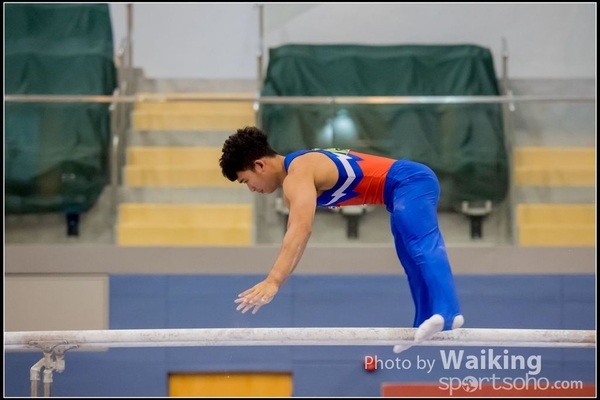 2017-01-15 Artistic Gymnastics 0306