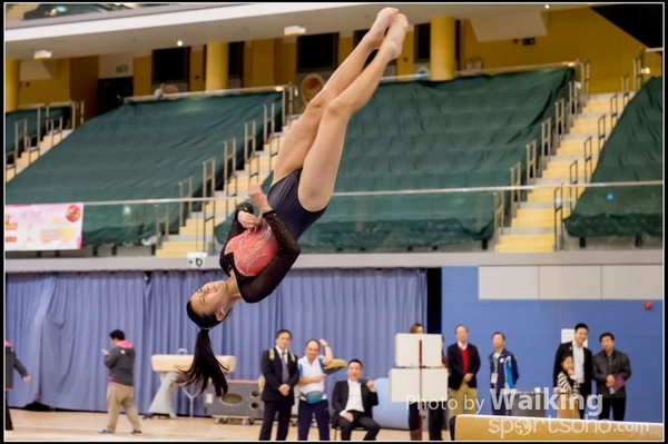 2017-01-15 Artistic Gymnastics 0311